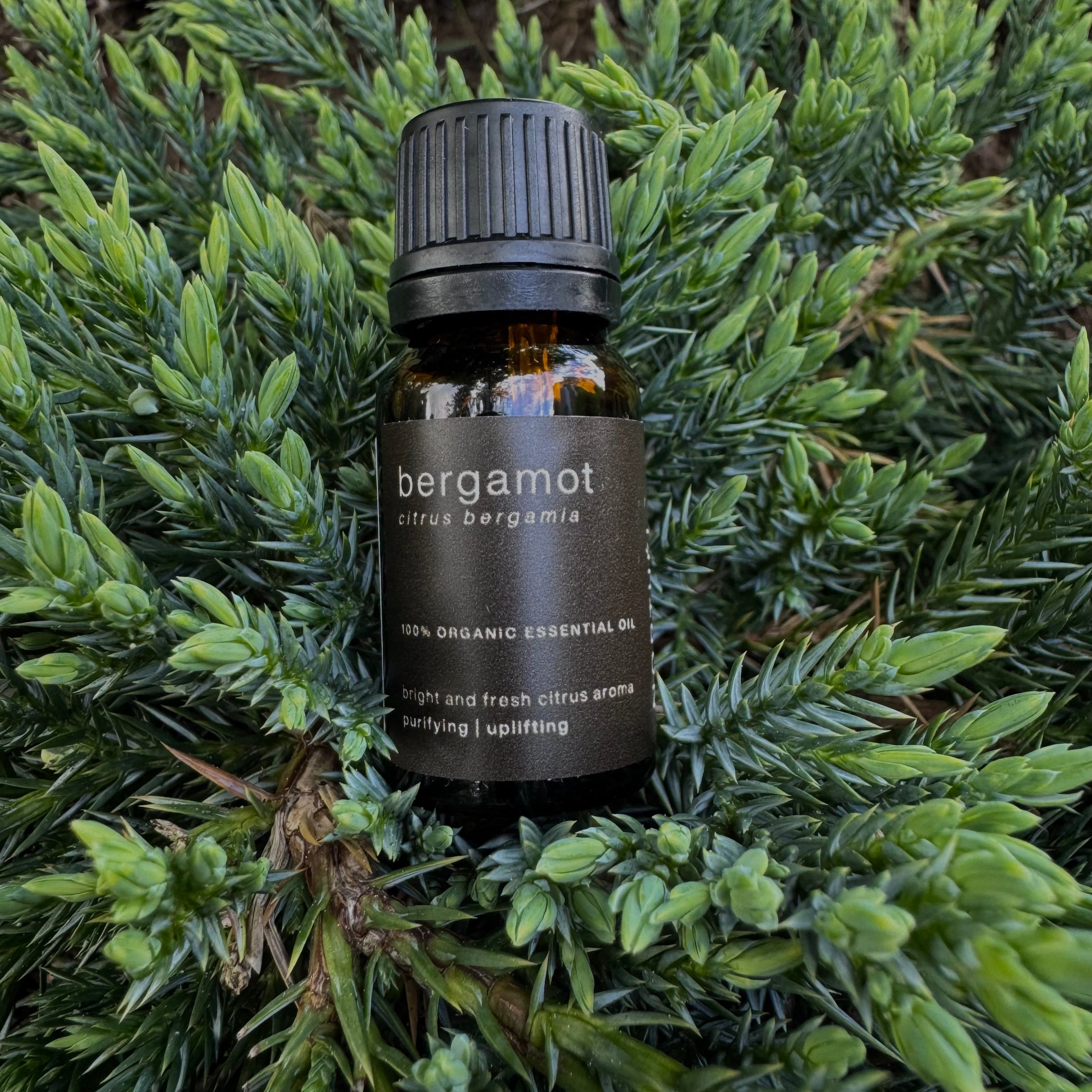 NORTHÉL bergamot