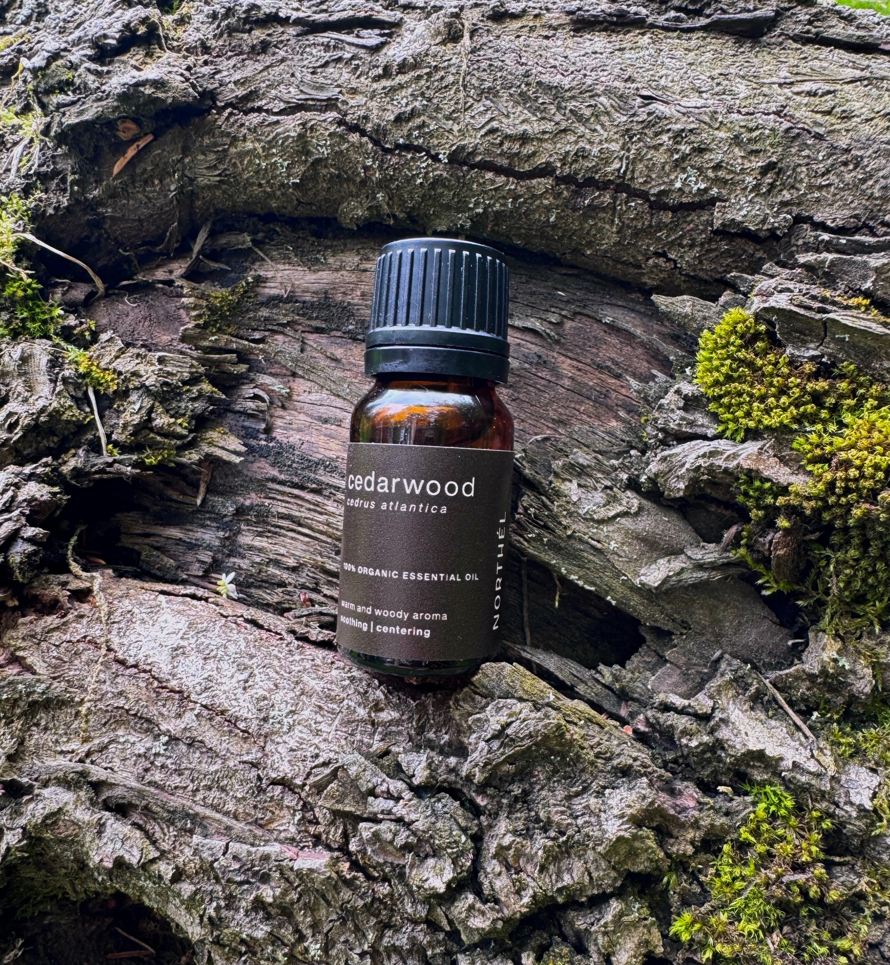 NORTHÉL cedarwood